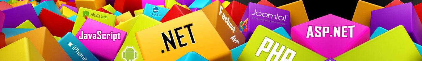 Portal Web Development Company in Phuentsholing, Bhutan